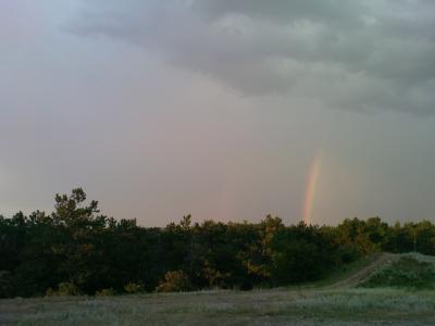 Прикрепленное изображение: DSC00690.JPG